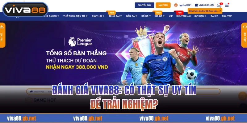 Đánh giá VIVA88