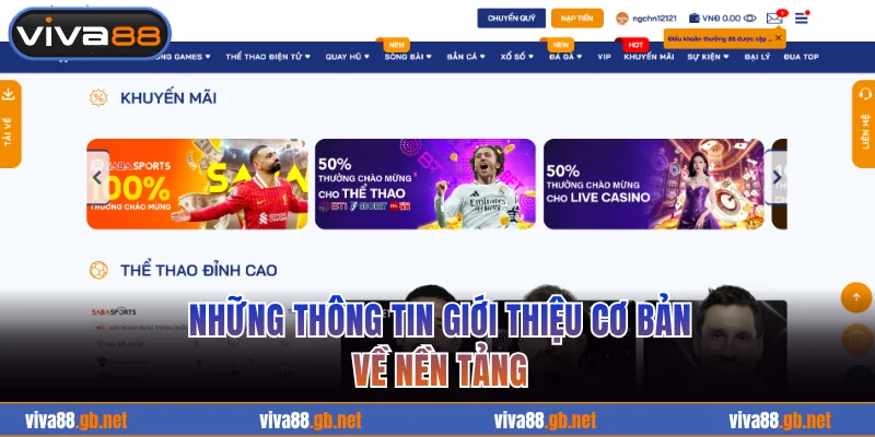 Những thông tin giới thiệu cơ bản về nền tảng