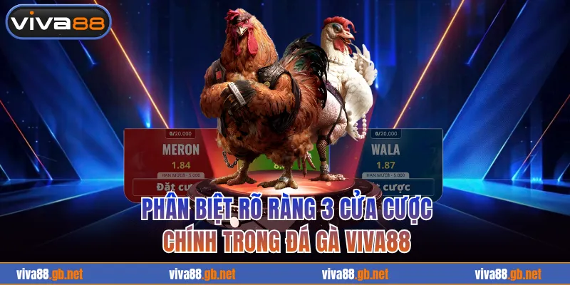 Phân biệt rõ ràng 3 cửa cược chính trong đá gà VIVA88